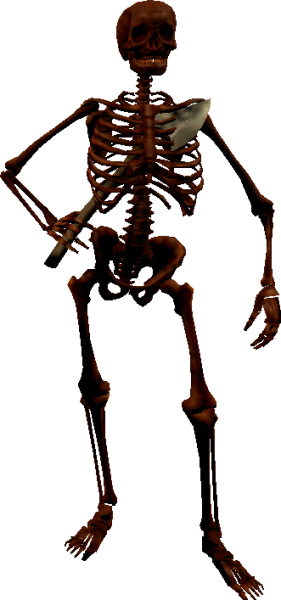 mob_level_45_skeleton.png mob_level_45_skeleton.png