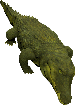mob_level_30_crocodile.png mob_level_30_crocodile.png