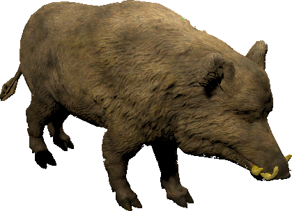 mob_level_13_hog.png mob_level_13_hog.png