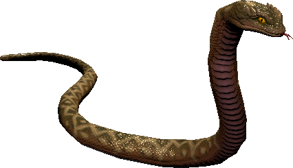 mob_level_21_snake.png mob_level_21_snake.png