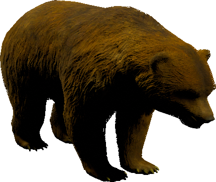 mob_level_16_bear.png mob_level_16_bear.png