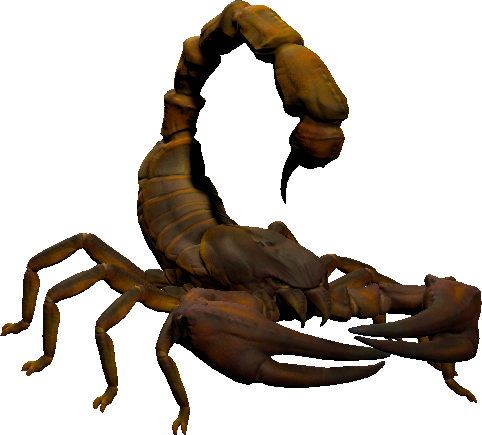mob_level_39_scorpion.png mob_level_39_scorpion.png