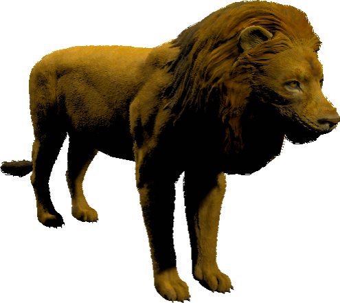 mob_level_24_lion.png mob_level_24_lion.png