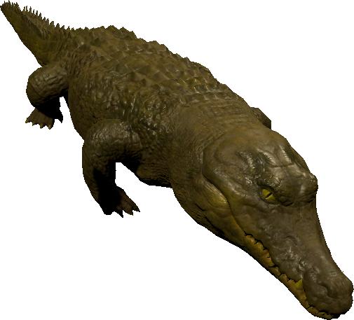 mob_level_32_aligator.png mob_level_32_aligator.png