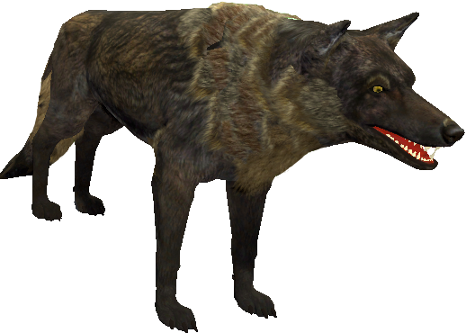 mob_level_8_hybrid-wolf.png mob_level_8_hybrid-wolf.png