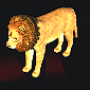 lion_pet.png