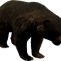 mob_level_20_black-bear.png