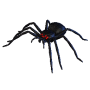 spider_dark.png