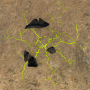 rift_49.png