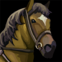 horse_palomino.png